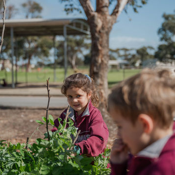 Important Dates for Term 4 