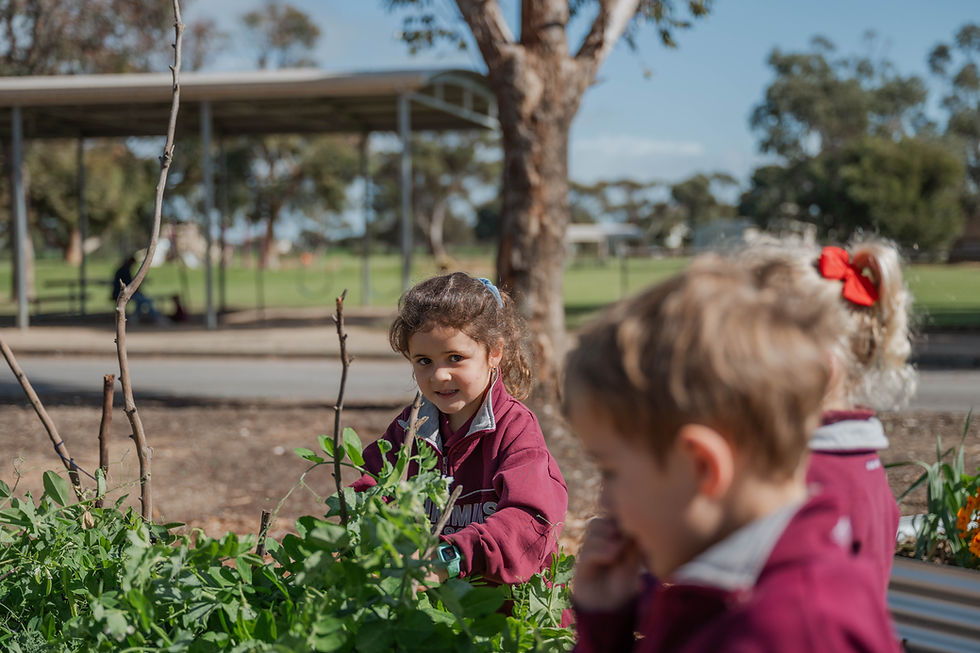 Important Dates for Term 4