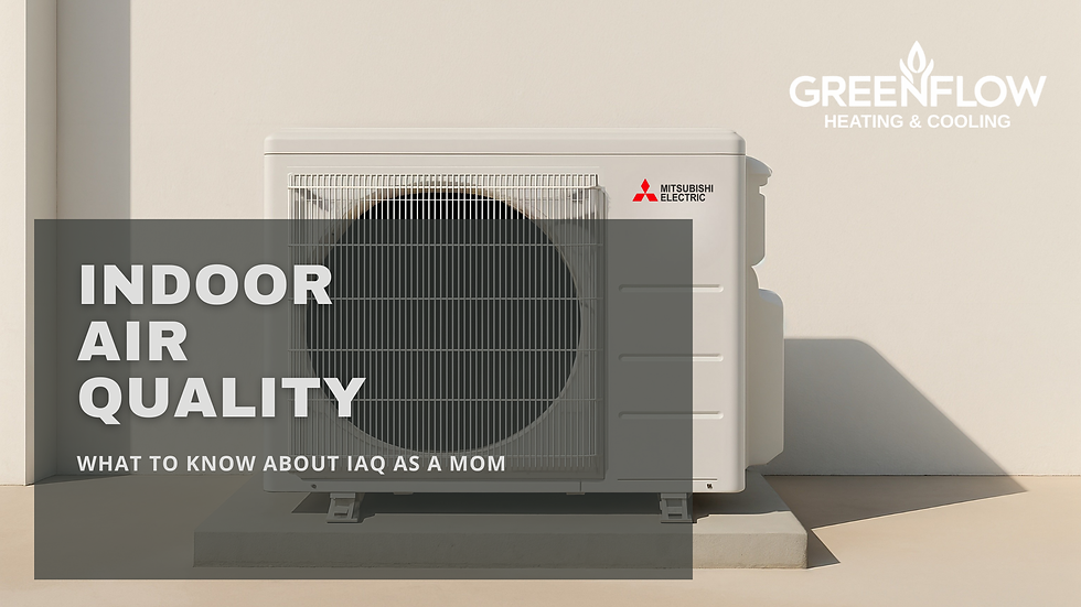 Indoor Air Quality (IAQ): What Every Mom Needs to Know