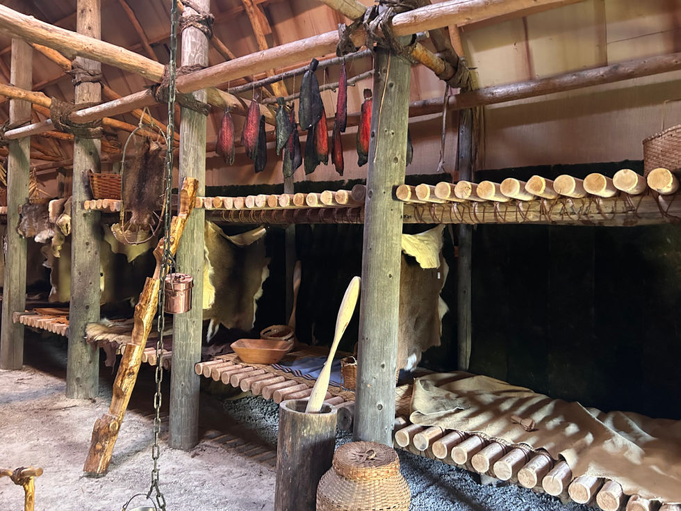 Finished Longhouse