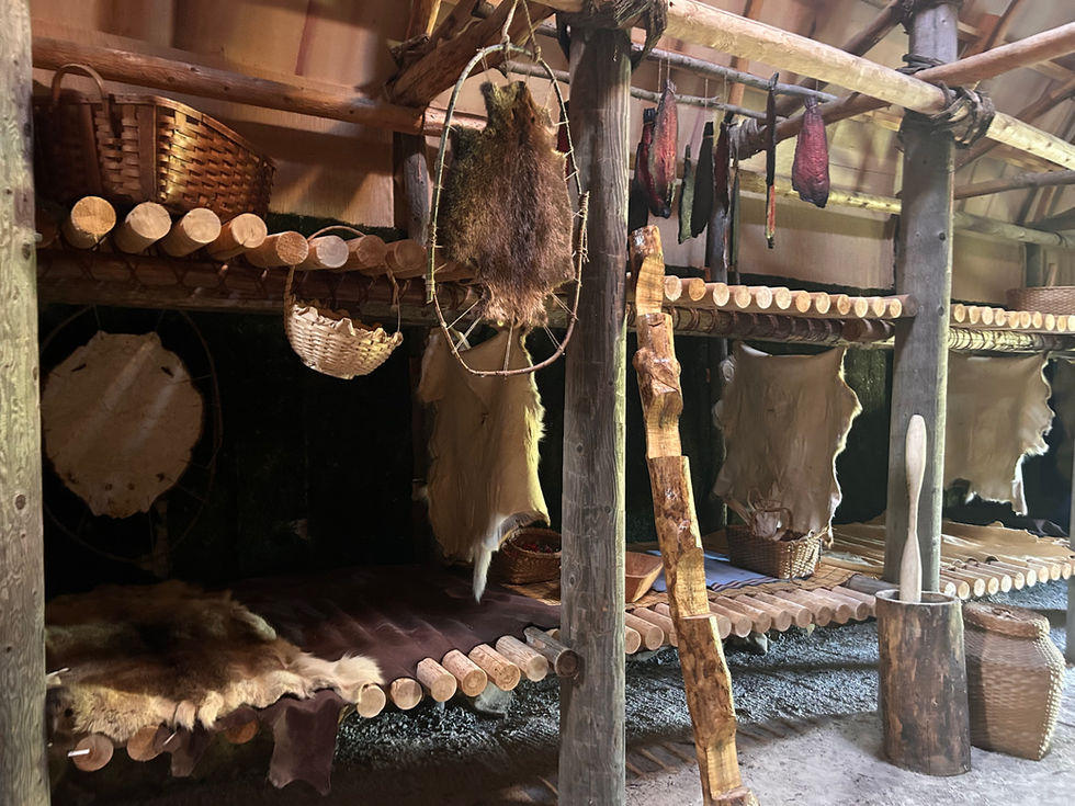 Finished Longhouse