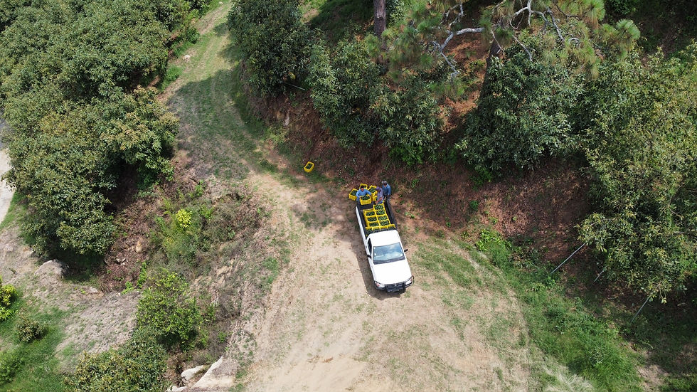 dji_fly_20230705_143324_12_1688589217601_photo_optimized.jpg