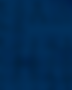 fondo (1).png