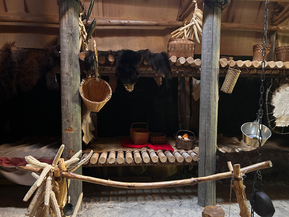 Finished Longhouse