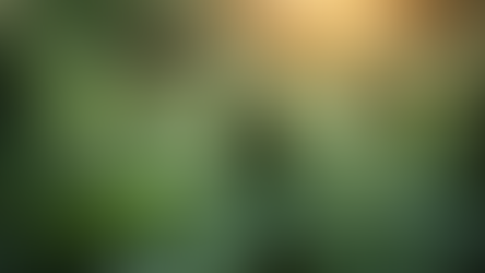 Local Family-Grown Cannabis: Why It Matters