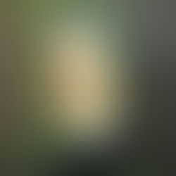 Молоховец, Елена Ивановна