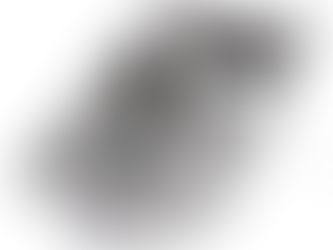 Гастроемкость 