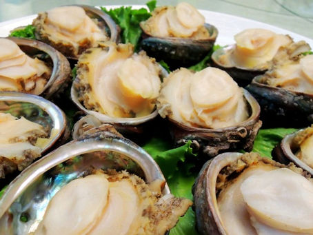 Морское ушко