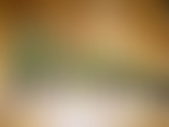 Бамбука молодые побеги