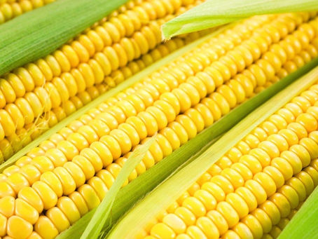 Кукуруза / маи́с