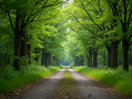 Relaxation for a Balanced Mind: Stress Reduction Techniques That Work