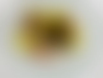 [11/8(Tue)-11/13(Sun)] ホロホロ鳥ウィーク