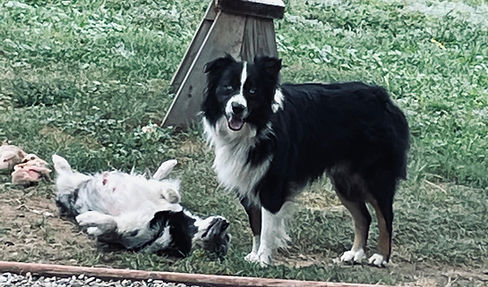 FullSizeRender 3.jpeg