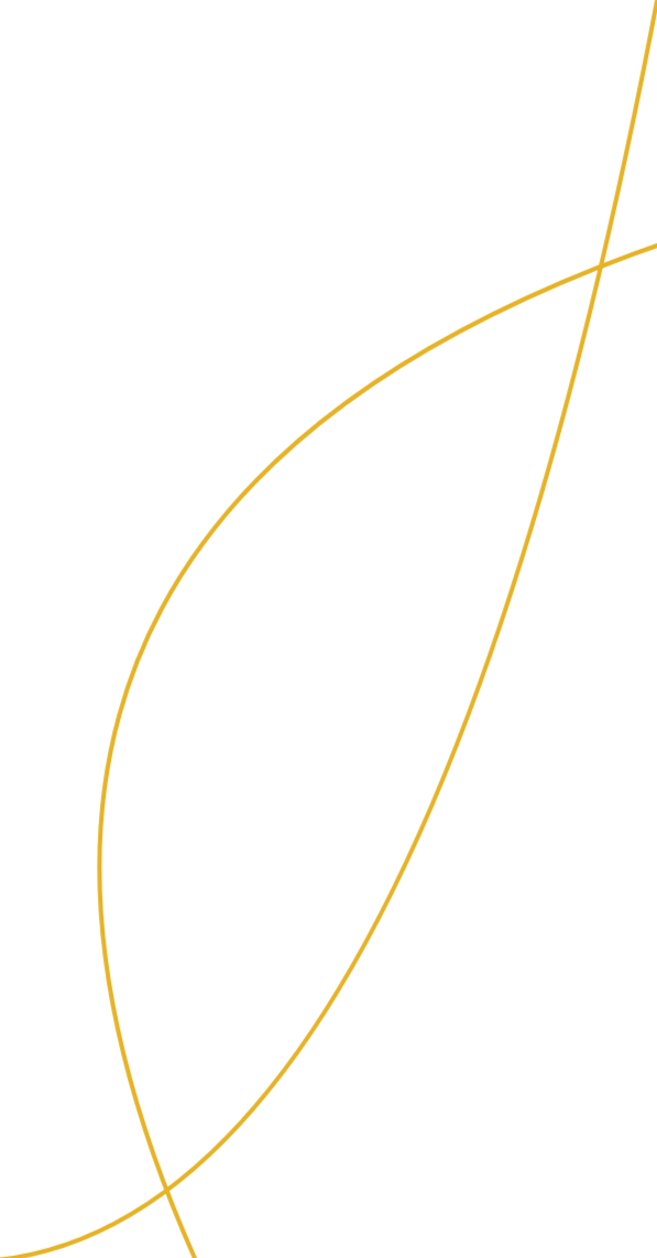 Website Curve_edited.png
