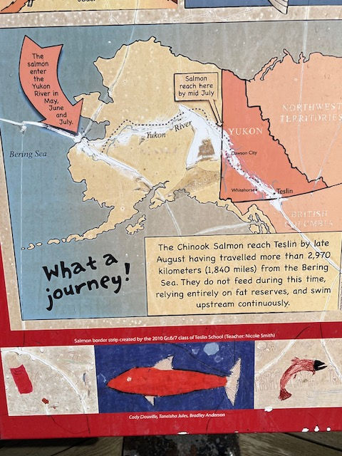 The Alaska Highway (Hwy 1) Yukon - 31 May 2025