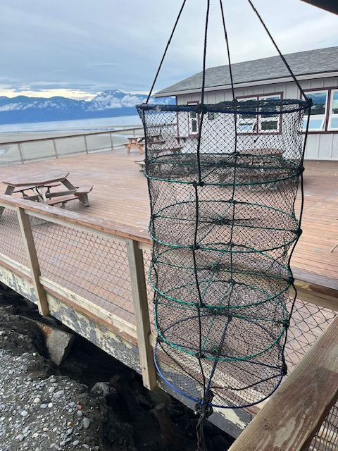 Kachemak Shellfish - Homer Spit Alaska - 26 July 2025 Their oysters are grown in these Japanese type lantern cages