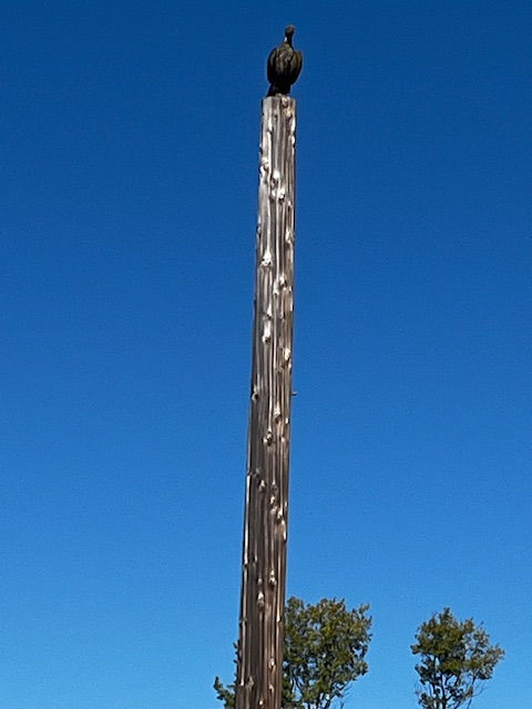 ree