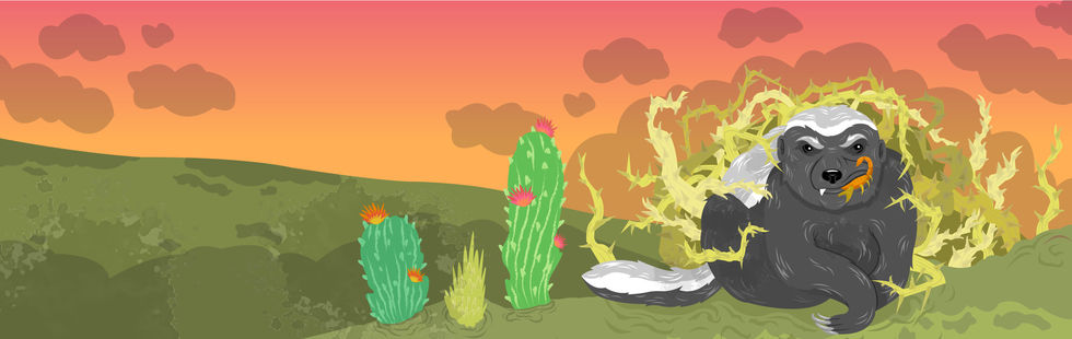 Dessert scene, honey badger eating scorpion in a thicket of brambles