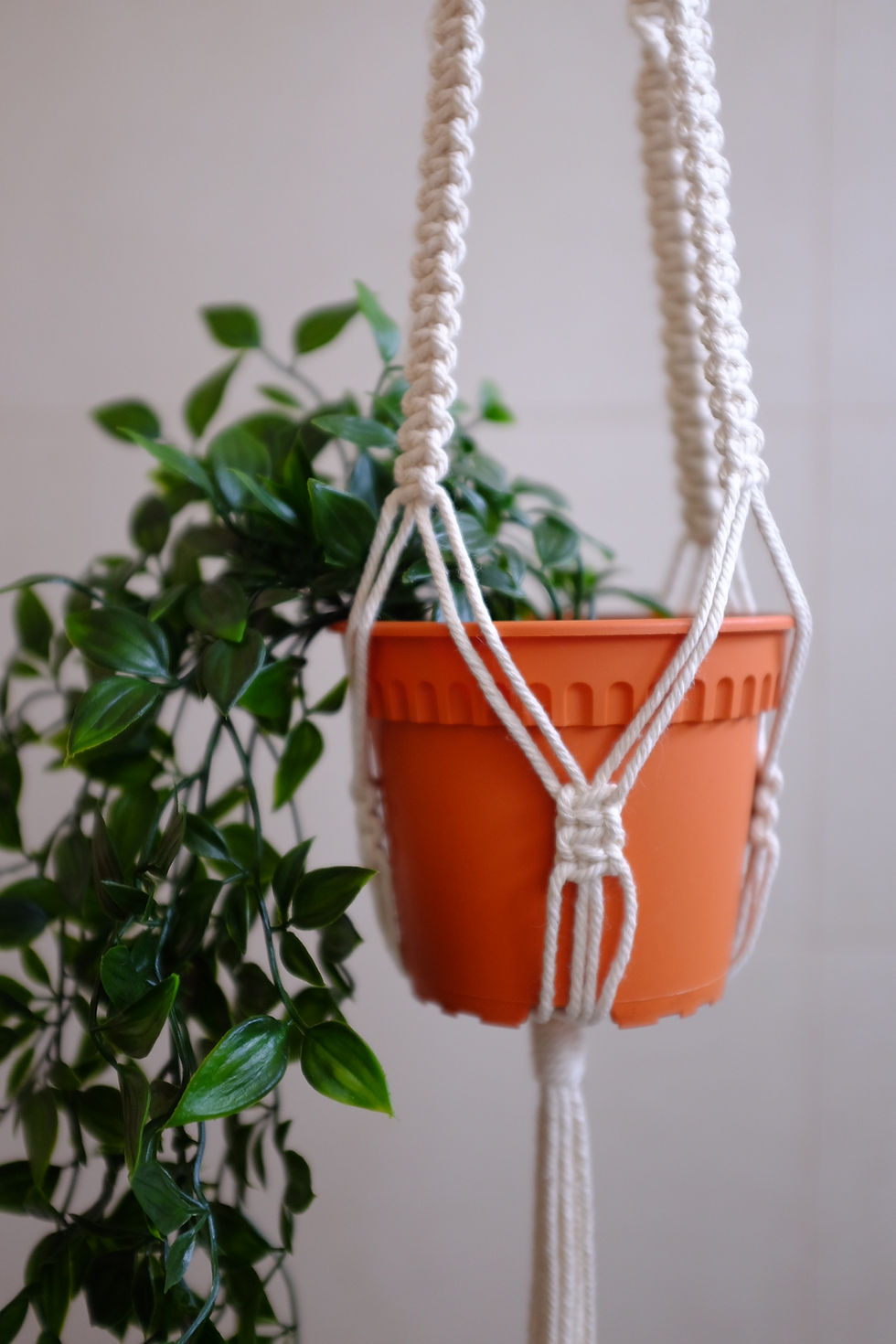 Thumbnail: 'Classic' Plant Hanger