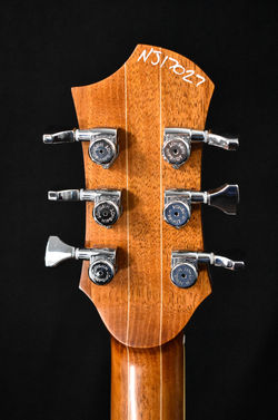 Janus rear headstock (5pc)