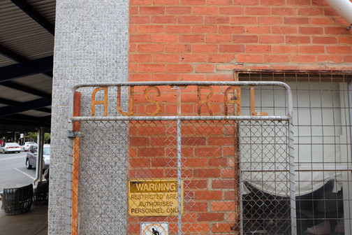 DSCF3160.jpg