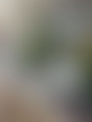 Leonforte: chi vive sul corso Umberto merita più attenzioni.