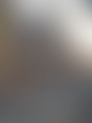 Leonforte dice basta agli immondezai pensili. È una questione di civiltà.Prima o poi.