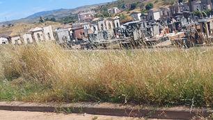 Urge pulizia al cimitero di Leonforte. Le frasche sono più alte dei cristiani