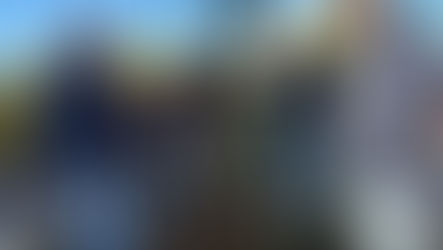 RIPIANTATO IL “PINO” DI PADRE PIO