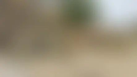 Leonforte: Una perdita fognaria "intossica" via Capra .