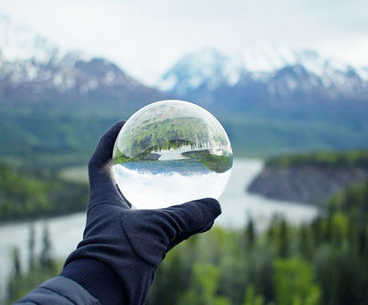 Nature Reflecting on Crystal Glass_edited.jpg