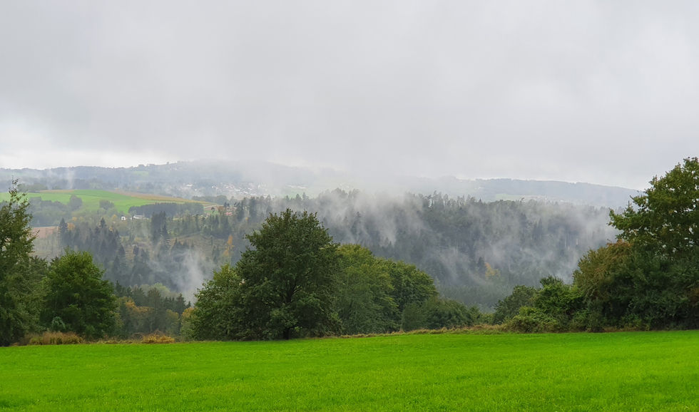 Nebel bei Sittenberg