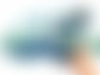 Cómo reservar carro por WhatsApp fácil