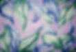 Hosta