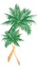 Artboard 2.png