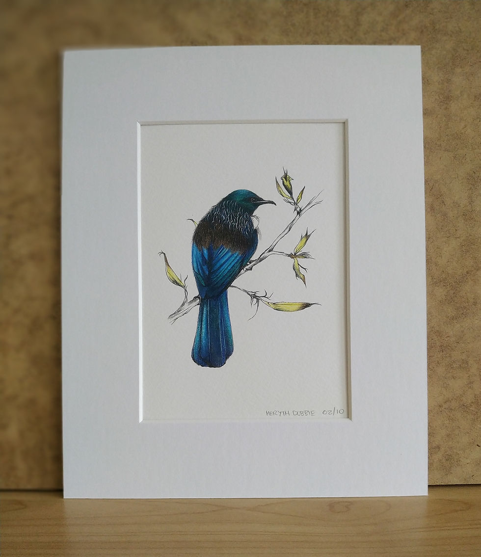 Thumbnail: Tui Limited Edition Print