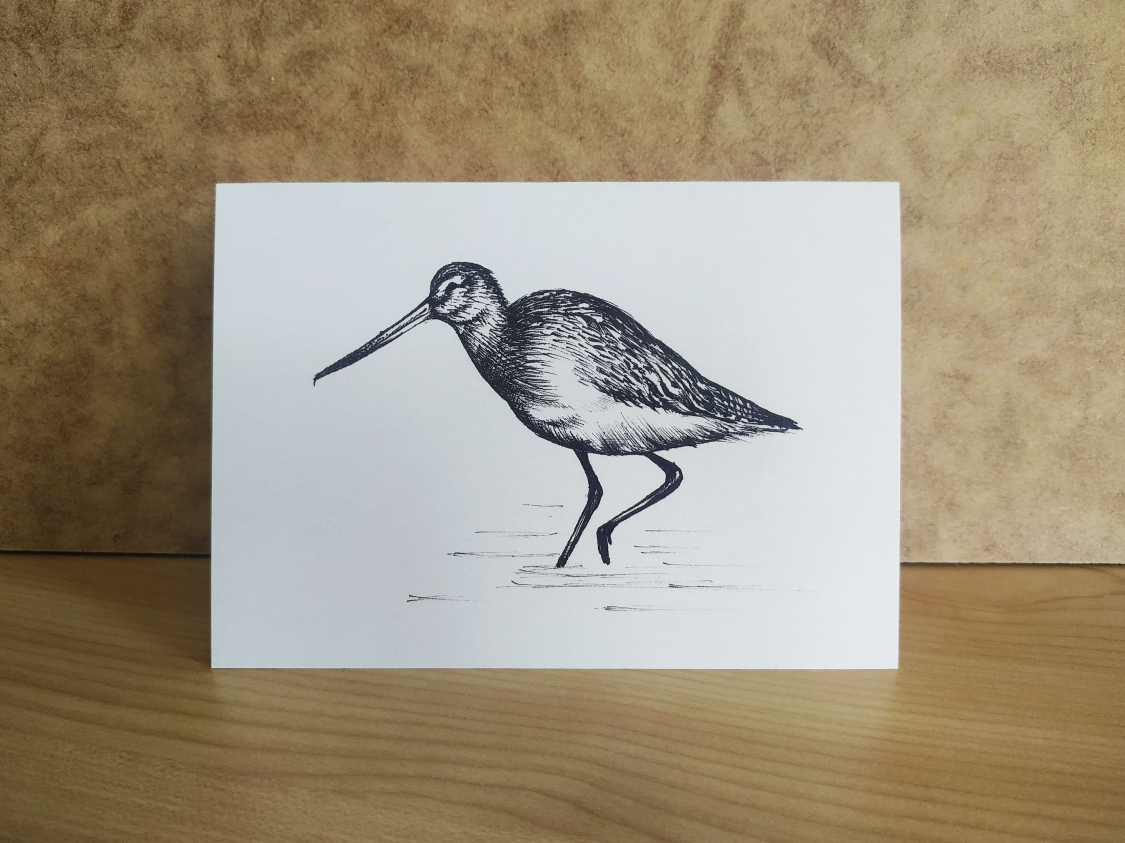 Godwit Greeting Card