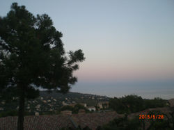 2015-05-28 00.16.04.jpg