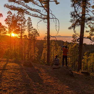guided hike to Tamadaba on Gran Canaria overnight stay