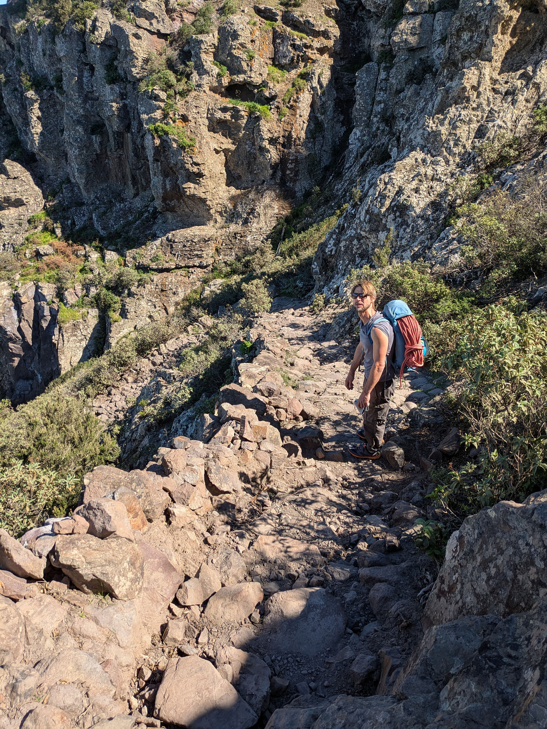 guided hike to Tamadaba on Gran Canaria