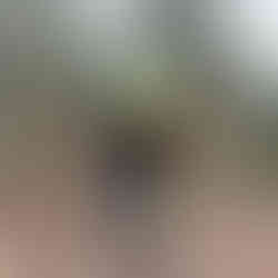 Höhlentour in der im Elbsandsteingebirge in der Region Sächsische Schweiz Bielatal