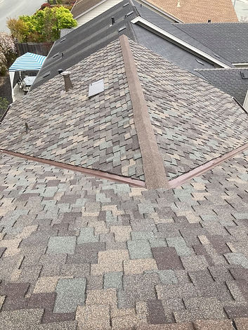 good roof.jpg