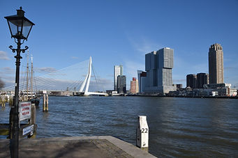 Rotterdam Skyline