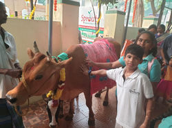 WhatsApp Image 2020-01-14 at 9.21.55 AM.