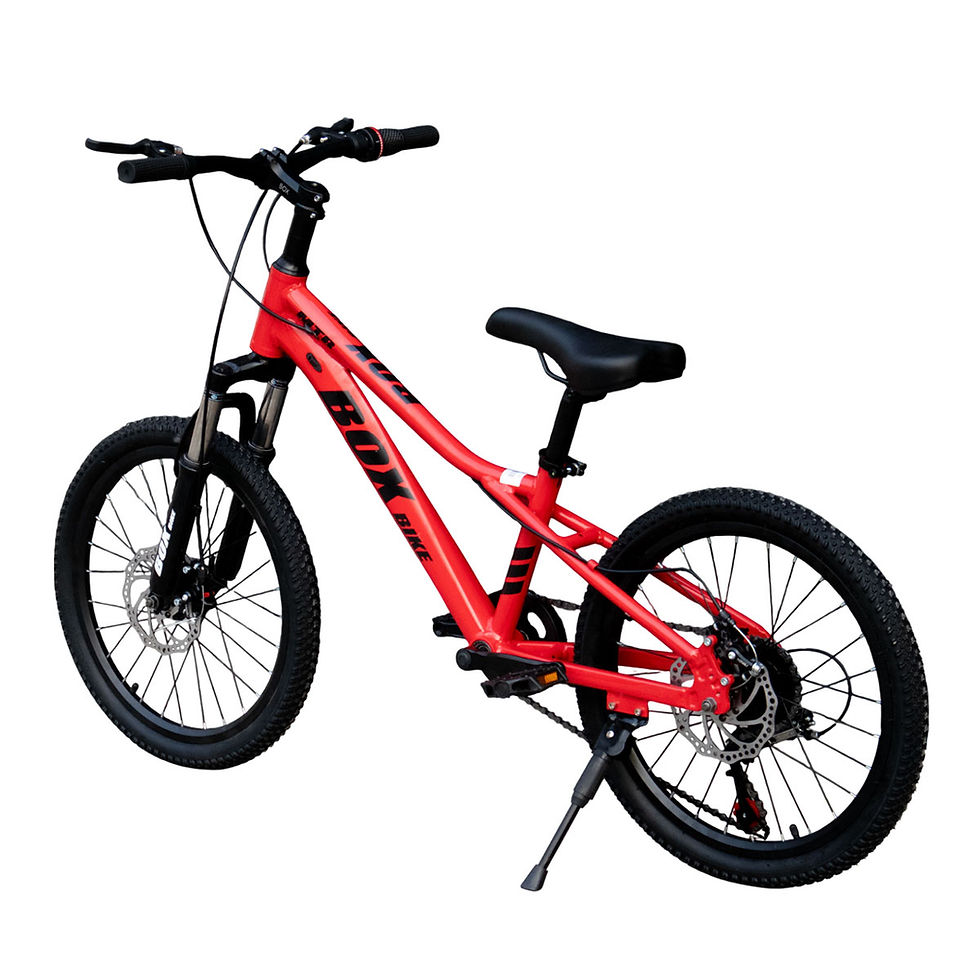 Miniatura: Bicicleta Box Mtb Aro 20 con Frenos de Disco y Suspensión Delantera Rojo