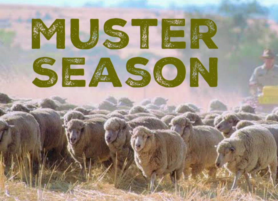 Mustering Season