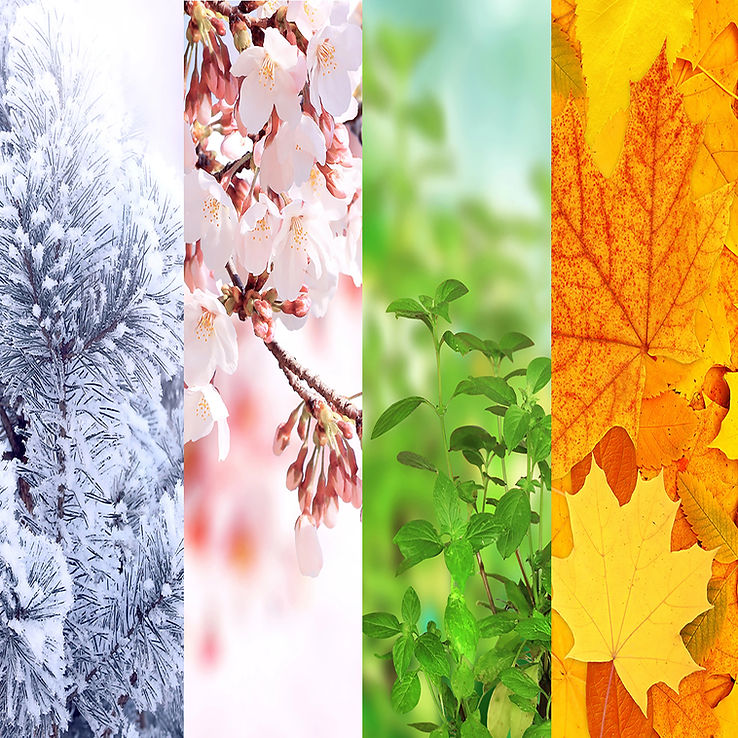 seasons 1501x1501.jpg