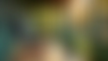 Embracing the Joys of Country Living in North Carolina