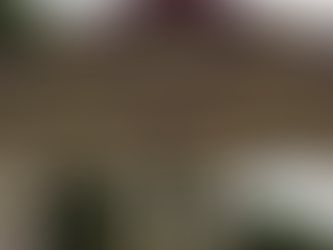 Entrance gate of Shri Shivaji Mahavidyalaya, Parbhani. Yellow and maroon signage with trees in the background. Calm atmosphere.