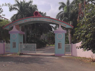 Entrance of J.T. Mahajan College of Engineering, Faizpur, with a pink and blue archway. Surrounding palm trees and clear sky define the setting.